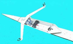 Racing Single